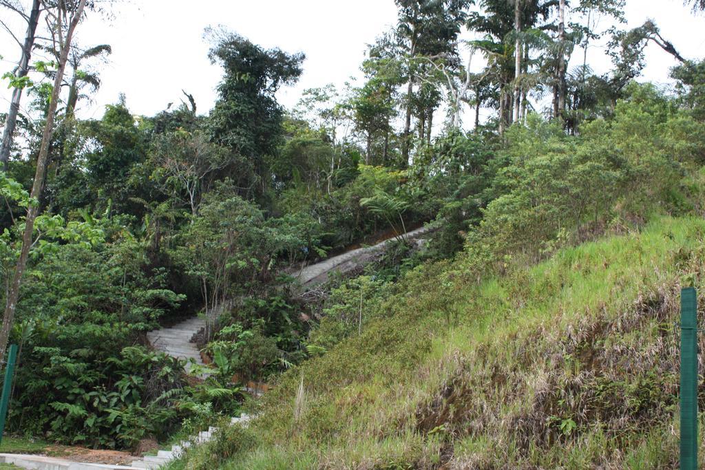 Cameron Golden Hills Resort Tanah Rata Luaran gambar