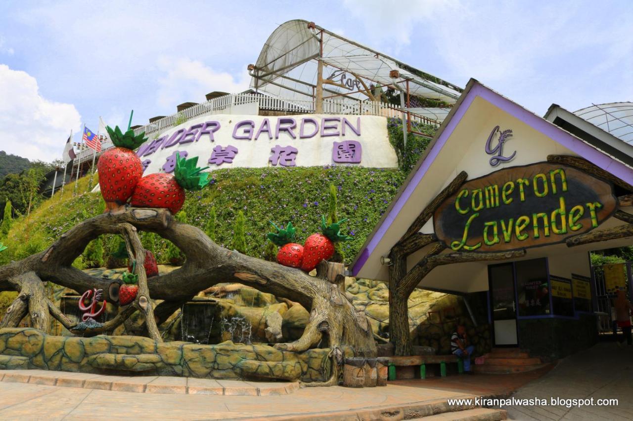 Cameron Golden Hills Resort Tanah Rata Luaran gambar