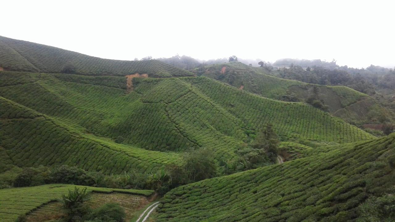 Cameron Golden Hills Resort Tanah Rata Luaran gambar